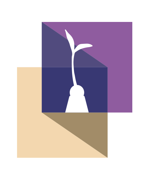 Premio Princesa de Girona Investigación